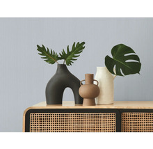 Vases décoratifs avec plantes sur une armoire