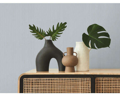 Vases décoratifs avec plantes sur une armoire