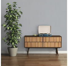 Pièce avec commode, plante d'intérieur et tourne-disque