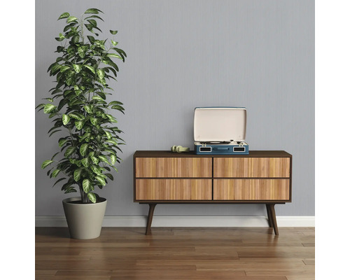 Pièce avec commode, plante d'intérieur et tourne-disque