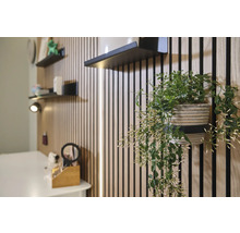 Intérieur clair avec panneaux muraux, étagères et plante en pot