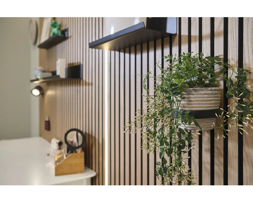 Intérieur clair avec panneaux muraux, étagères et plante en pot