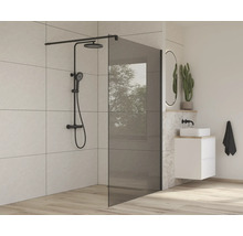 Salle de bains moderne avec paroi de douche en verre et robinetterie de douche