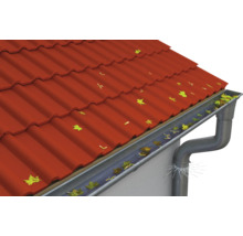 Dach mit Dachziegeln, Dachrinne und Laub