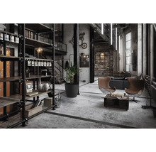 Loft de style industriel avec étagères, sièges et décoration