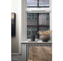 Décoration de rebord de fenêtre avec haut-parleur et fleurs séchées dans un vase