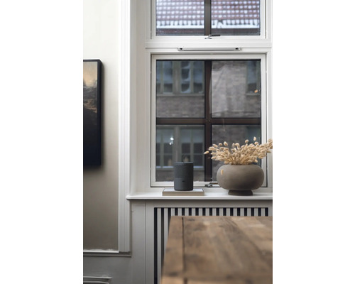 Décoration de rebord de fenêtre avec haut-parleur et fleurs séchées dans un vase