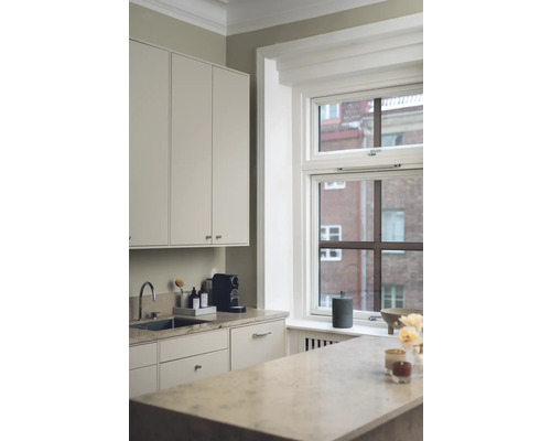 Cuisine claire avec évier, plan de travail, armoires hautes et fenêtre