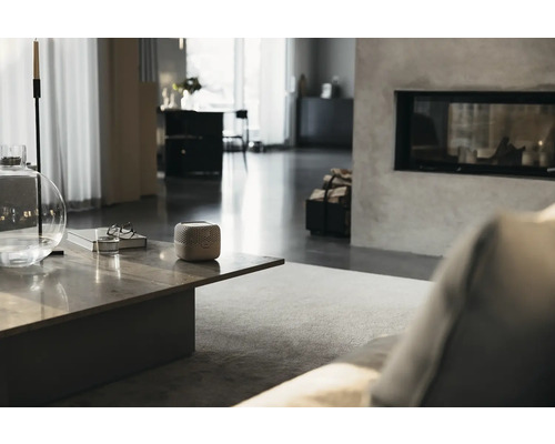 Wohnzimmer mit Kamin und Tisch mit Lautsprecher