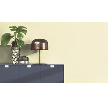 Dekoratives Stillleben mit einer Monstera Pflanze in einer Vase, einem Kaktus in einem Topf und einer Tischlampe auf einem Schrank.