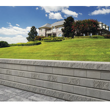 Idée d'aménagement pour un jardin avec mur de soutènement et pelouse