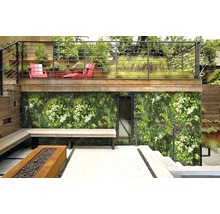 Aussenbereich mit Grünwand, Sitzbank und Feuerstelle