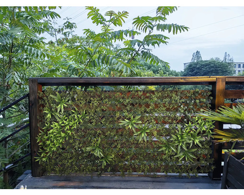 Mur végétal décoratif avec cadre en bois pour l'extérieur