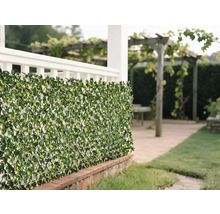 Tapis de feuilles vertes décoratif comme écran de confidentialité dans le jardin.