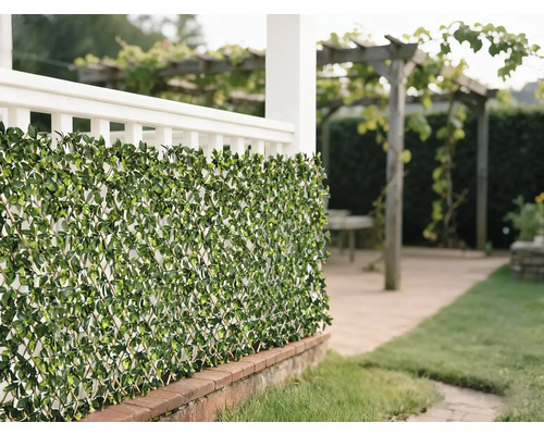 Tapis de feuilles vertes décoratif comme écran de confidentialité dans le jardin.