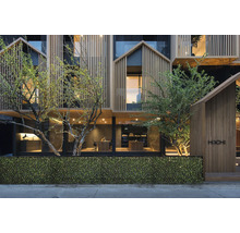 Façade d'un bâtiment moderne avec revêtement en bois et végétation