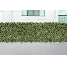 Brise-vue flexible en osier avec décor de feuilles devant un mur