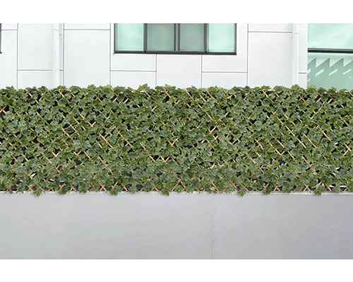 Brise-vue flexible en osier avec décor de feuilles devant un mur