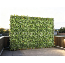 Grosse grüne Pflanzenwand auf einer Terrasse mit Fliesen