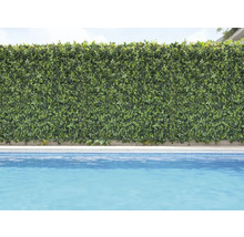 Dekorative grüne Pflanzenwand neben einem Schwimmbecken.