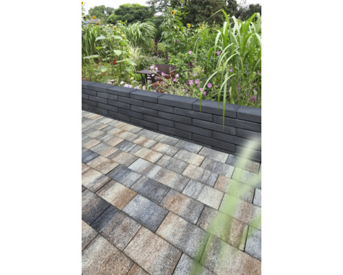 Jardin avec pavés et mur