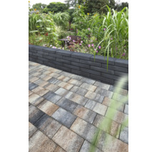 Jardin avec mur en blocs de béton et pavés