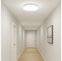 Couloir avec plafonnier rond, portes et tableau