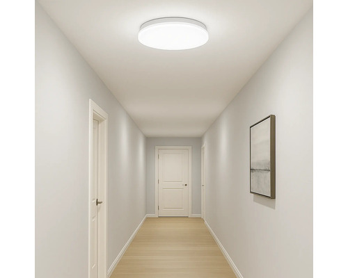 Couloir avec plafonnier rond, portes et tableau