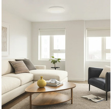 Vue lumineuse du salon avec canapé, fauteuil, table basse et plafonnier