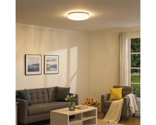 Salon avec plafonnier, canapé, fauteuil et table basse