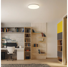 Intérieur avec bureau, étagères et plafonnier rond