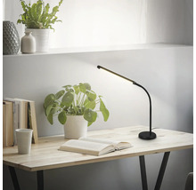Schreibtischszene mit einer schwarzen LED-Schreibtischlampe, einem offenen Buch und Zimmerpflanzen auf einem Holztisch.