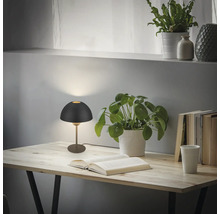 Tisch mit beleuchteter Lampe, Topfpflanzen und Büchern