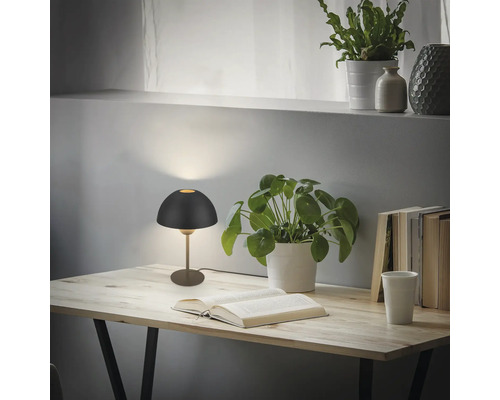 Tisch mit beleuchteter Lampe, Topfpflanzen und Büchern