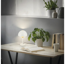 Tisch mit Lampe, Buch und Pflanzen für eine angenehme Atmosphäre