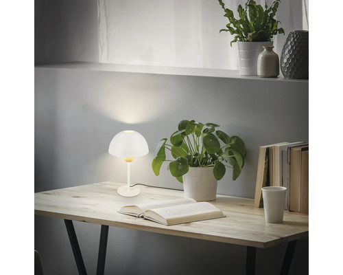 Tisch mit Lampe, Buch und Pflanzen für eine angenehme Atmosphäre