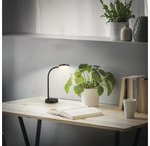 Tisch mit aufgeschlagenem Buch, Topfpflanzen und einer schwarzen Schreibtischlampe