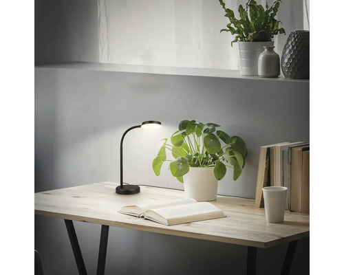 Tisch mit aufgeschlagenem Buch, Topfpflanzen und einer schwarzen Schreibtischlampe