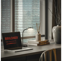 Arbeitsplatzszene mit Schreibtischleuchte, Laptop mit Briloner Logo und dekorativen Elementen