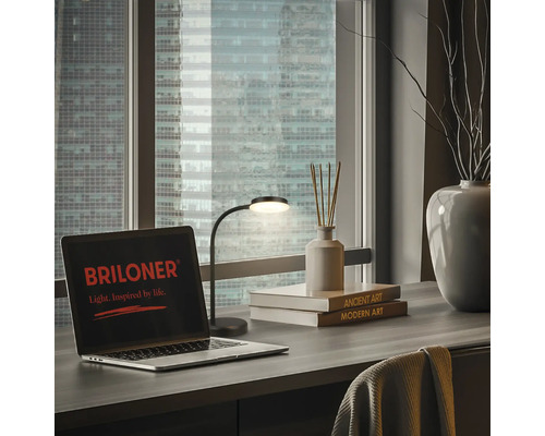 Arbeitsplatzszene mit Schreibtischleuchte, Laptop mit Briloner Logo und dekorativen Elementen