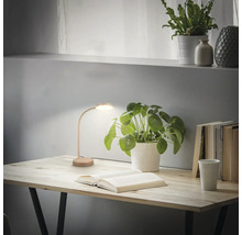 Tisch mit Leselampe, Zimmerpflanze und Büchern