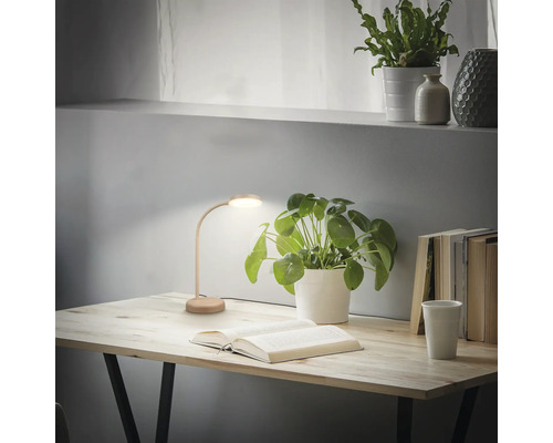 Tisch mit Leselampe, Zimmerpflanze und Büchern