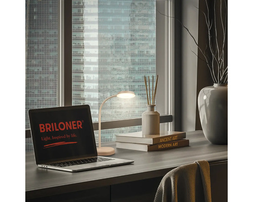 Szene mit Schreibtischlampe, Laptop mit Briloner Logo, Büchern und Dekoration vor einem Fenster mit Blick auf eine Stadt.