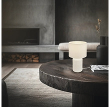 Dekorative Tischleuchte auf einem Tisch in einem Wohnzimmer mit Kamin