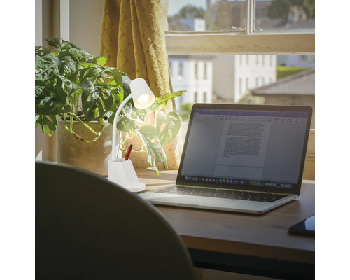 Szene mit einer Schreibtischlampe, einem Laptop und einer Zimmerpflanze auf einem Schreibtisch.