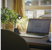 Schreibtisch mit Laptop, Zimmerpflanze und Schreibtischlampe