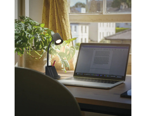 Schreibtisch mit Laptop, Zimmerpflanze und Schreibtischlampe