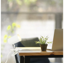 Tisch mit Klemmleuchte, Zimmerpflanze und Laptop.