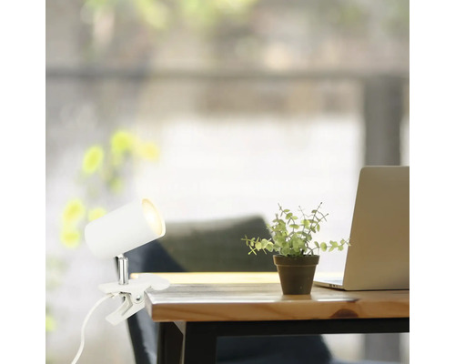 Tisch mit Klemmleuchte, Zimmerpflanze und Laptop.