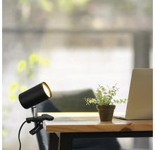 Klemmlampe auf einem Schreibtisch mit Laptop und Pflanze